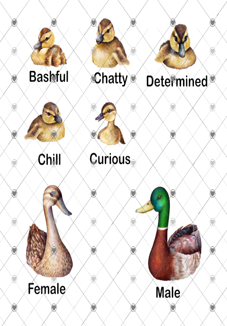 Duck Family Established A4 Print, Duck Family Custom Print